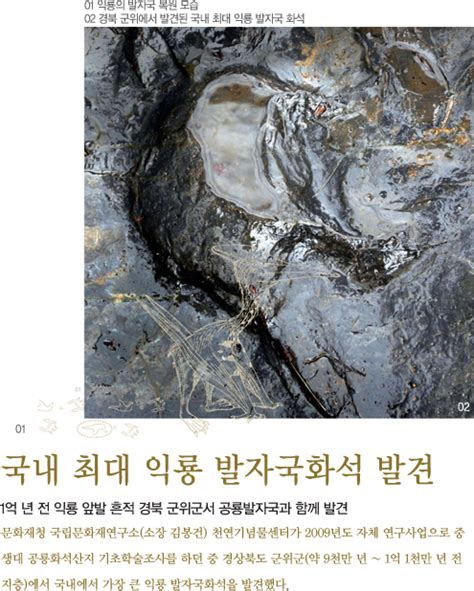 문화재청 월간문화재사랑 상세 국내 최대 익룡 발자국화석 발견