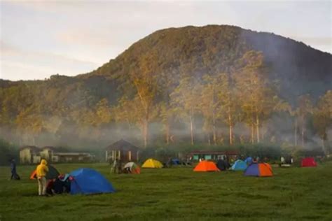 Healing Dan Camping Di Ranca Upas Bandung Inilah Info Lengkap Harga