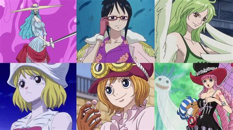One Piece Wiki Female Characters At William Difiore Blog