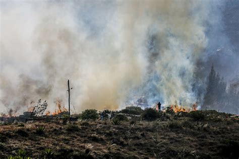 Pronunciamiento De Greenpeace Ante Los Incendios Forestales A Nivel