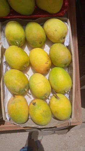 Green Hapus Mangoes Alphonso Carton Packaging Size 10 Kg At Rs 1100