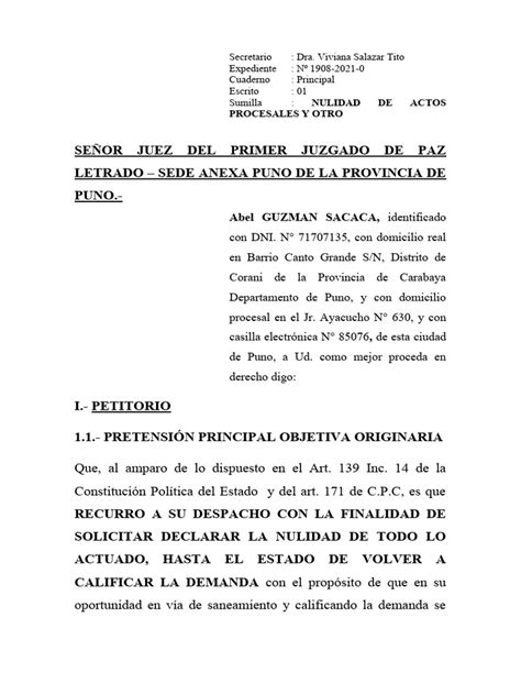 Nulidad De Actos Procesales Pdf Demanda Judicial Ley Procesal