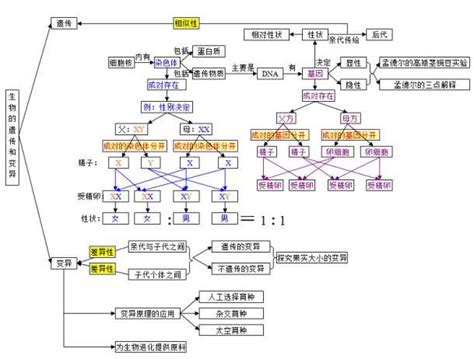 2021中考生物知识导图： 生物的生殖发育与遗传中考新东方在线