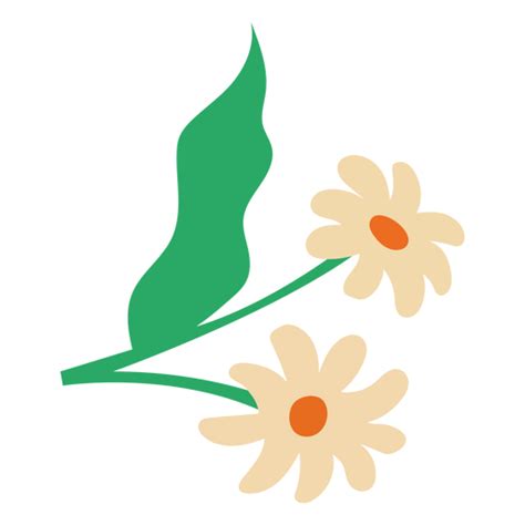 Diseño PNG Y SVG De Par De Margaritas De Flores Planas Blancas Para