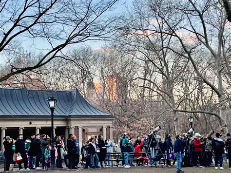 Flaco, the escaped Central Park Zoo owl, proving he can survive outside