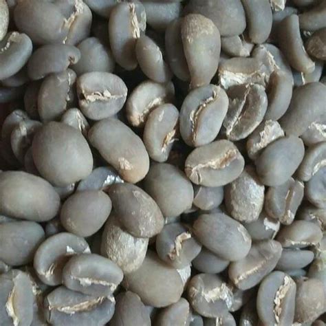 Toraja Sapan Arabica Green Bean Inaexport