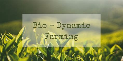 Principles Of Biodynamic Farming Uyir Organic Farmers Market