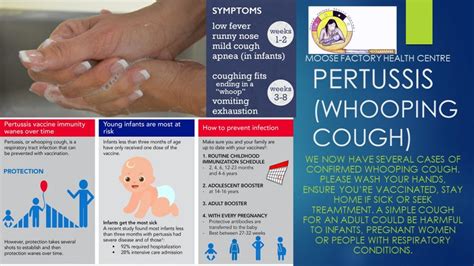 Pertussis Whooping Cough Advisory Weeneebayko Area Health Authority