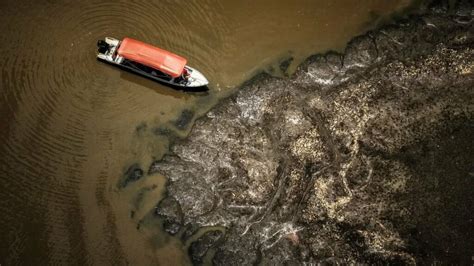 La Sequía en la Amazonía y las Temperaturas Récord Provocan la