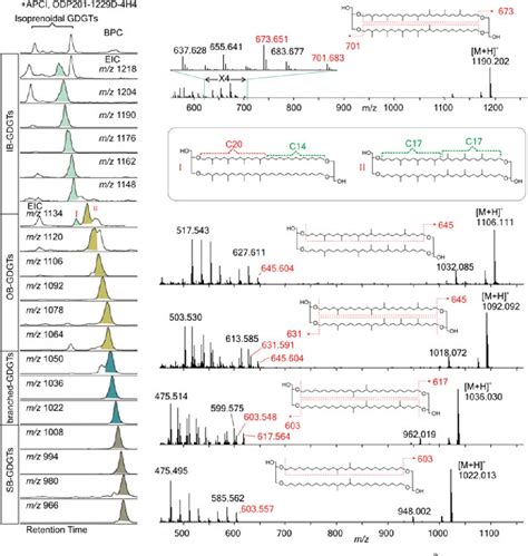 Figure 2 From Extending The Known Range Of Glycerol Ether Lipids In The