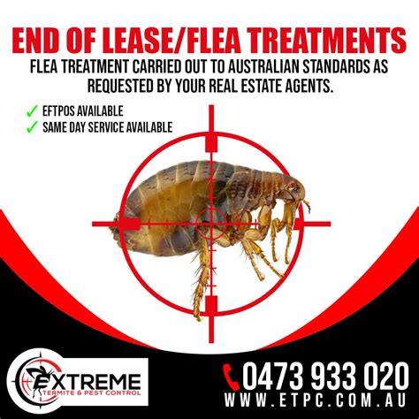 End Of Lease Treatments Extreme Termite And Pest Control