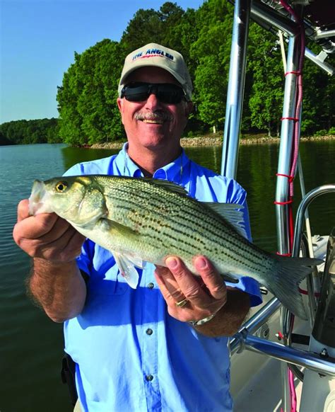 Lake Oconee | Coastal Angler & The Angler Magazine