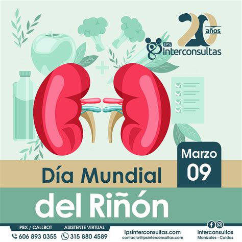 Día Mundial del Riñon IPS Interconsultas