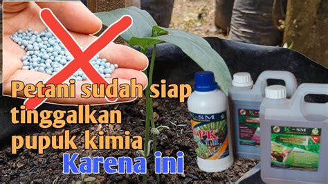 SEBUAH TEROBOSAN Pupuk Organik Pengganti Pupuk Kimia Ksm