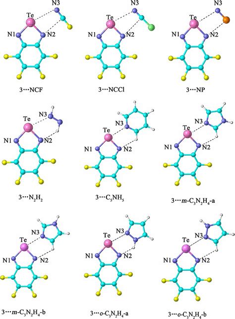 Optimized Geometries Of The Binary Complexes Download Scientific Diagram