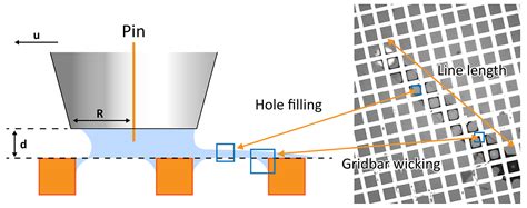 Overcoming the Learning Curve of CRYO-EM Sample Preparation | Nanoscience Instruments