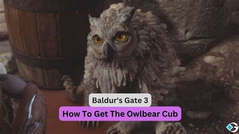 Baldur's Gate 3 (BG3): How To Get The Owlbear Cub - GameRiv