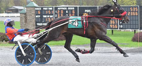 Summit City Sonny Extends Saratoga Win Streak Saratoga Ny