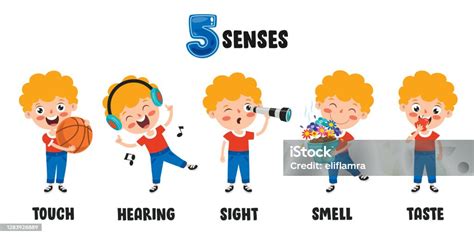 Konsep Five Senses Dengan Organ Manusia Ilustrasi Stok Unduh Gambar Sekarang Nomor Lima