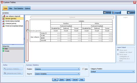 IBM SPSS Custom Tables