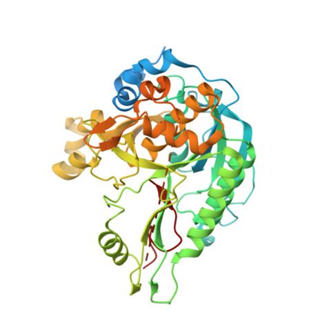 Rcsb Pdb Mzd High Resolution Crystal Structure Of The Nisin Leader