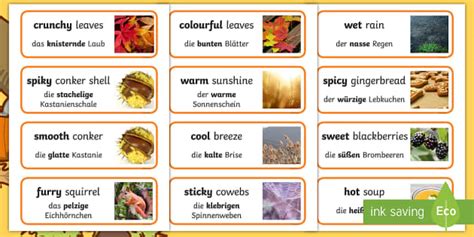 Autumn Senses Word Cards Englishgerman Teacher Made