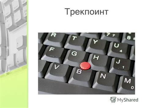 Презентация на тему: "Устройства ввода и вывода данных Подготовил ...