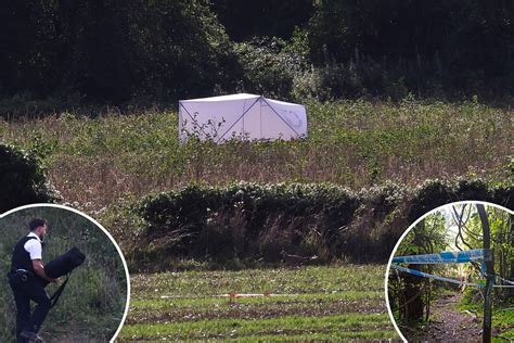 Decomposed Body Discovered By Walkers In Field As Cops Probe