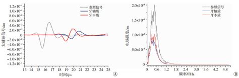 不同牙硬组织成分的太赫兹时域光谱特征研究