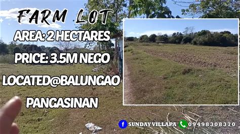 V Hectares Farm Lot For Sale Price M Nego Location