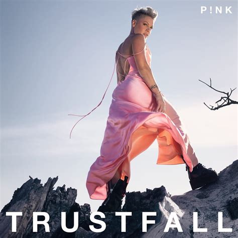 P!NK - Trustfall - LP - Gatefold Black Vinyl [FEB 17]