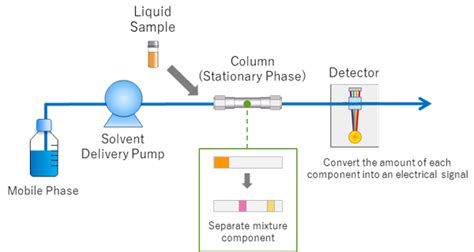 What Is Hplc High Performance Liquid Chromatography Shimadzu