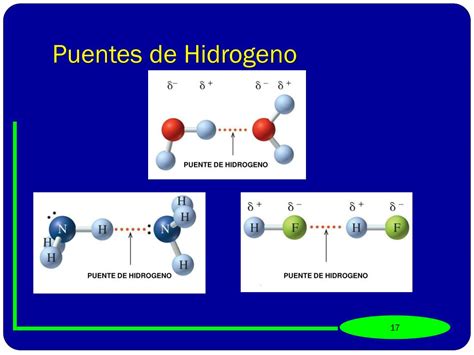 Puentes De Hidr Geno