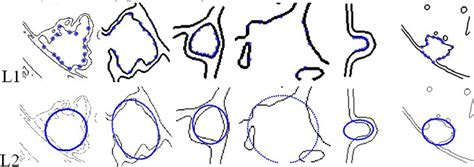 The Results Of Ellipse Fitting Download Scientific Diagram