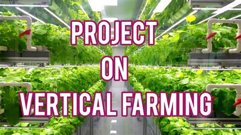 Project On Vertical Farming Youtube