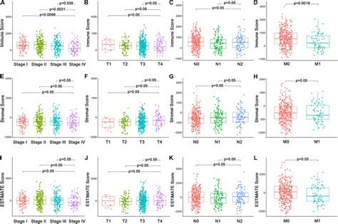 Association Of Immune Score Stromal Score And Estimate Score With