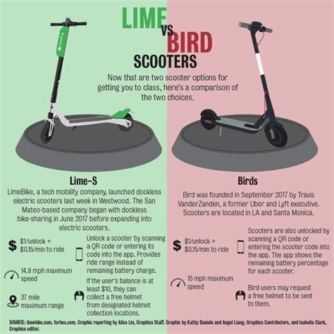 Lime Vs Bird Is Bird The Word Or Is It Lime Time DabConnection