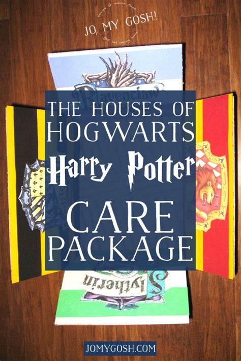 A Harry Potter Themed Care Package With All Of The Houses Of Hogwarts