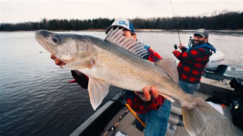 Big Spring Walleye On The Rainy River Youtube