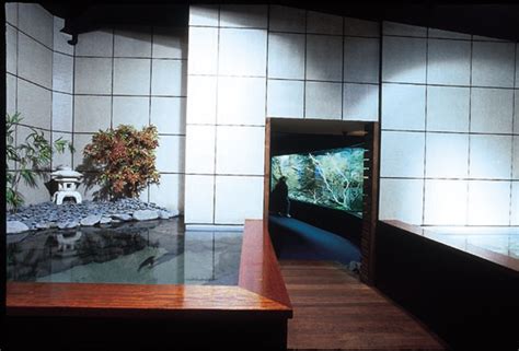 National Aquarium Of New Zealand Marinescape Eco Aquariums