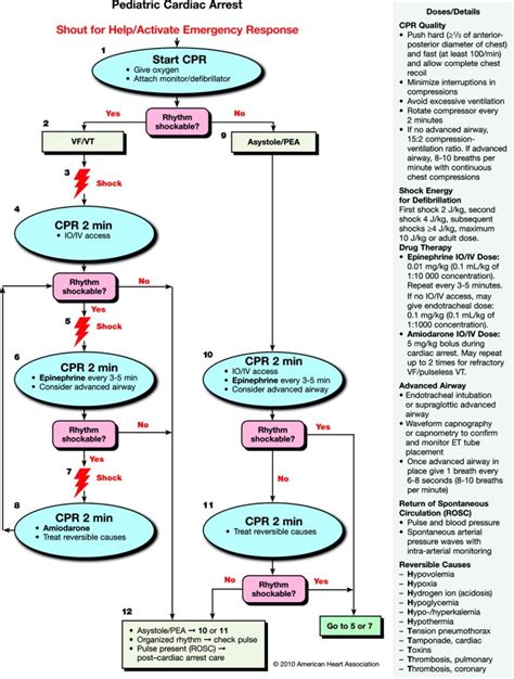 Pediatric Cardiac Arrest Algorithm First Em