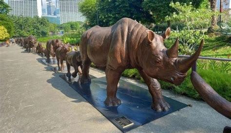 Top 8 Bronze Statues of the World's Most Endangered Animal - Custom ...