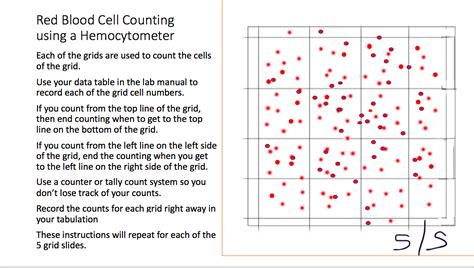 Solved Red Blood Cell Counting Using A Hemocytometer Each Of Chegg