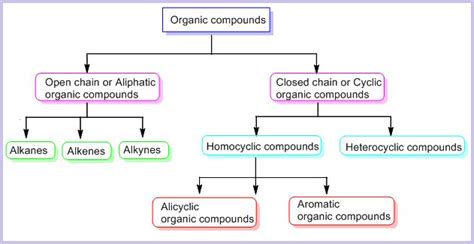 Organic Compounds Classification Functional Group And Homologous