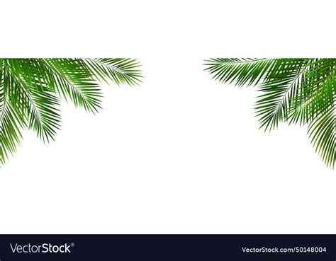 Border with green palm tree leaves Royalty Free Vector Image