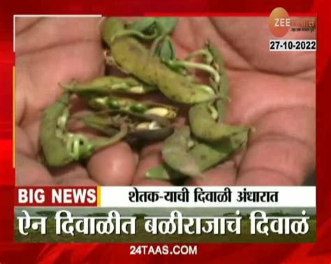 Video ऐन दिवाळीत बळीराजाचं दिवाळं पाहा स्पेशल रिपोर्ट 24 Taas Zee