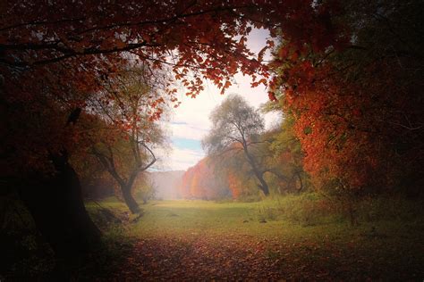 Free Images Landscape Tree Nature Forest Path Outdoor Branch