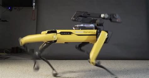 Robô Cachorro Da Boston Dynamics Mostra Seu Talento Na Pista De Dança Olhar Digital