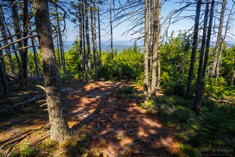 Bernard Mountain Trail Photos Joe S Guide To Acadia National Park