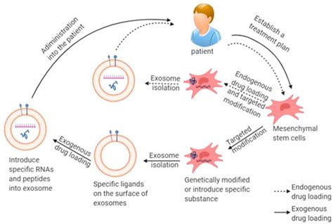 Frontiers The Status Of Industrialization And Development Of Exosomes